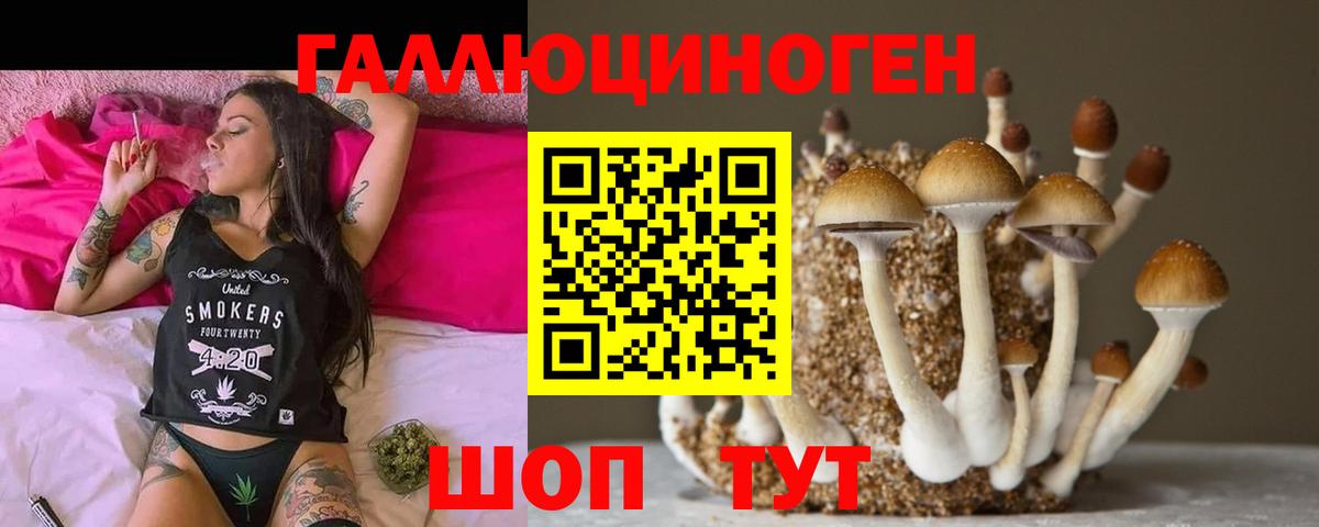Галлюциногенные грибы MAGIC MUSHROOMS  Вход с VPN  Клинцы 