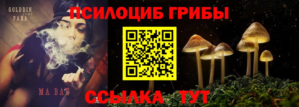 Галлюциногенные грибы ЛСД Клинцы